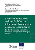 FORMACION INTENSIVA EN ACCIONES DE DAÑOS POR INFRACCION DE LAS NORMAS | 9788419773678 | RUIZ PERIS, JUAN IGNACIO / RODILLA MARTI, CARMEN