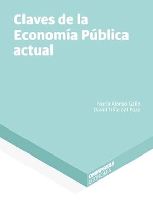 CLAVES DE LA ECONOMIA PUBLICA ACTUAL | 9788494757884 | ALONSO GALLO, NURIA