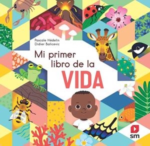 MI PRIMER LIBRO DE LA VIDA | 9788498569377 | HEDELIN, PASCALE
