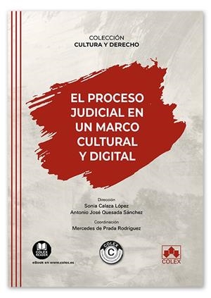 PROCESO JUDICIAL EN UN MARCO CULTURAL Y DIGITAL, EL | 9788411940894 | CALAZA LÓPEZ, SONIA/QUESADA SÁNCHEZ, ANTONIO JOSÉ/DE PRADA RODRÍGUEZ, MERCEDES/BARJA DE QUIROGA LÓPE