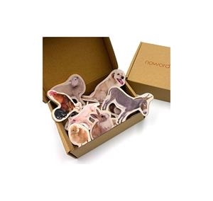 MAGNETS ANIMALS DE LA GRANJA | 0760412891022