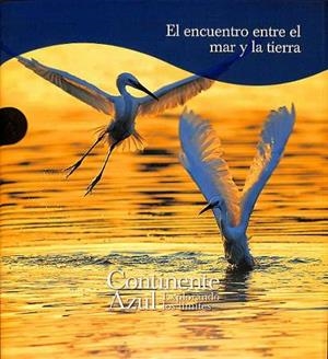ENCUENTRO ENTRE EL MAR Y LA TIERRA, EL | 9788419909497 | AA.EE