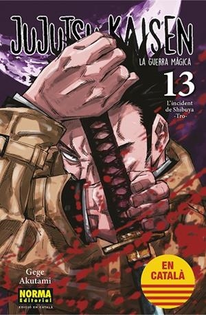 JUJUTSU KAISEN 13 (ED. EN CATALÀ) | 9788467957679 | AKUTAMI, GEGE