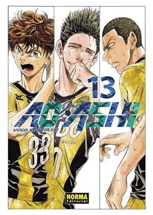 AO ASHI 13 | 9788467963328 | KOBAYASHI, YUGO