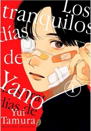 TRANQUILOS DÍAS DE YANO 01, LOS | 9788419914446 | YUI, TAMURA