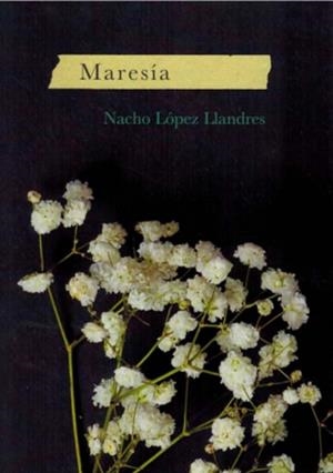 MARESIA | 9788412716948 | LOPEZ LLANDRES, NACHO