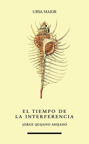TIEMPO DE LA INTERFERENCIA, EL | 9788412737820 | QUIJANO AHIJADO, JORGE