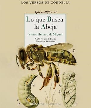 LO QUE BUSCA LA ABEJA | 9788419124685 | HERRERO DE MIGUEL, VICTOR