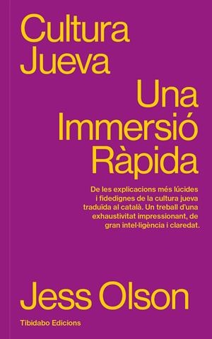 CULTURA JUEVA. UNA IMMERSIÓ RÀPIDA | 9788410013056 | OLSON, JESS