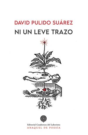 NI UN LEVE TRAZO | 9788418997457 | PULIDO SUAREZ, DAVID