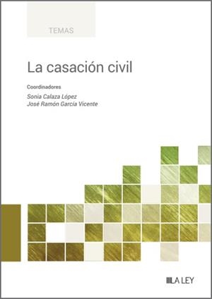 CASACION CIVIL, LA | 9788419905161