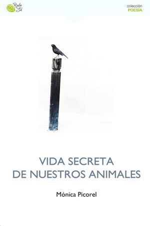 VIDA SECRETA DE NUESTROS ANIMALES | 9788410001152 | PICOREL, MÓNICA