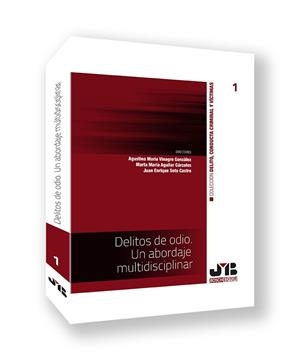 DELITOS DE ODIO. UN ABORDAJE MULTIDISCIPLINAR | 9788410044128 | VINAGRE GONZALEZ, AGUSTINA MARIA