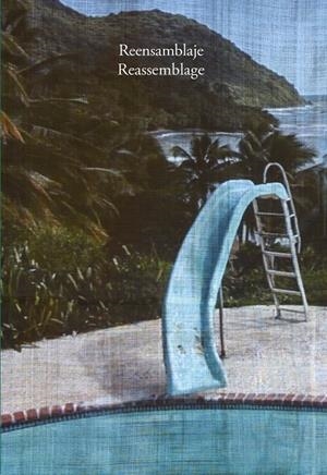 REENSAMBLAJE REASSEMBLAGE | 9788412492842 | AROZENA BONET, TERESA