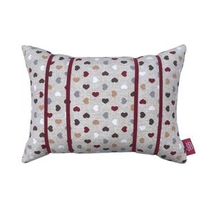 COIXÍ  LECTURA MIL CORS | 8437018173099