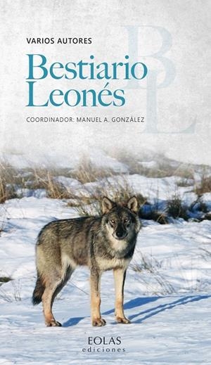 BESTIARIO LEONES | 9788410057029 | GONZÁLEZ, MANUEL A.
