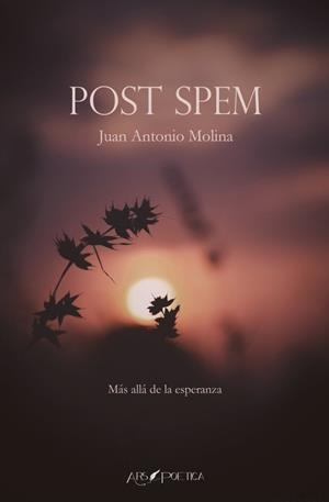 POST SPEM | 9788418536625 | MOLINA, JUAN ANTONIO
