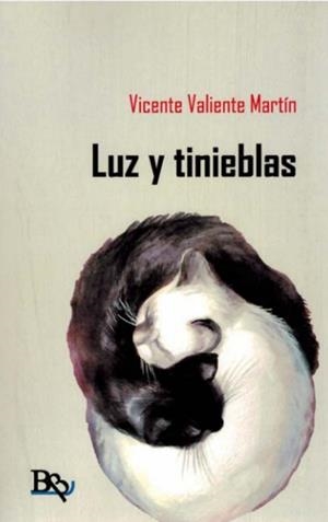 LUZ Y TINIEBLAS | 9788410092013 | VALIENTE MARTÍN, VICENTE
