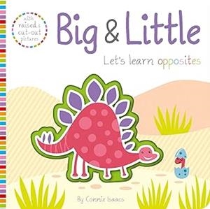 BIG AND LITTLE | 9781789583779 | COPPER, JENNY