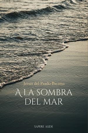 A LA SOMBRA DEL MAR | 9788419343789 | DEL PRADO BIEZMA, JAVIER