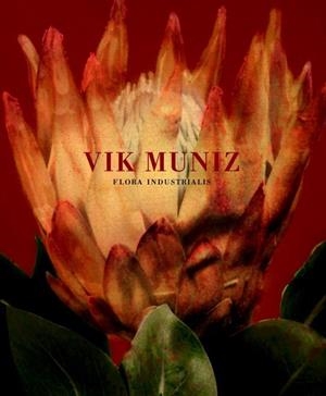 FLORA INDUSTRIALIS | 9788480817783 | MUNIZ, VIK