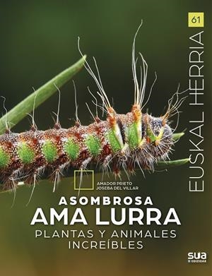 EUSKAL HERRIA. ASOMBROSA AMA LURRA | 9788482168739 | PRIETO, AMADOR / DEL VILLAR, JOSEBA