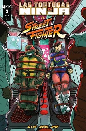 TORTUGAS NINJA VS. STREET FIGHTER 03, LAS | 9788419972941 | ALLOR, PAUL
