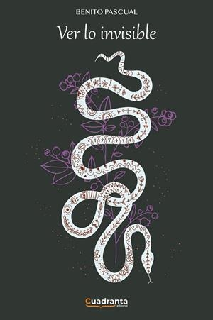 VER LO INVISIBLE | 9788410125049 | PASCUAL, BENITO