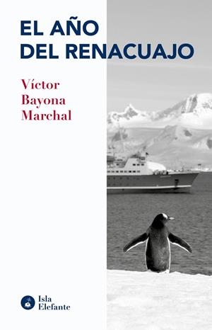AÑO DEL RENACUAJO, EL | 9788410002029 | BAYONA MARCHAL, VICTOR