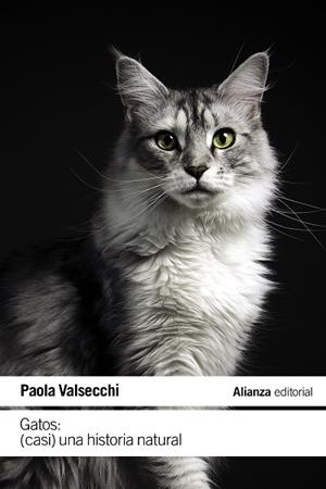 GATOS : (CASI) UNA HISTORIA NATURAL | 9788411485616 | VALSECCHI, PAOLA