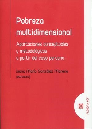 POBREZA MULTIDIMENSIONAL | 9788413697147 | GONZALEZ MORENO, JUANA MARIA
