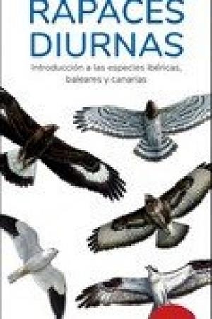 RAPACES DIURNAS. GUIAS DESPLEGABLES TUNDRA (17 EDICIÓN) | 9788419624369