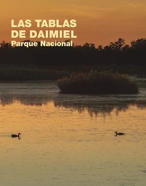 TABLAS DE DAIMIEL, LAS. PARQUE NACIONAL | 9788408283249 | VARIOS AUTORES