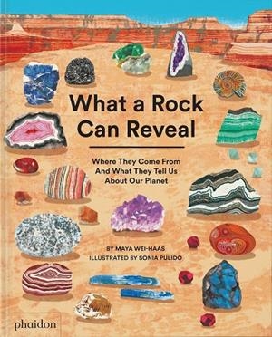 WHAT A ROCK CAN REVEAL | 9781838667894 | PULIDO, SONIA / WEI-HAAS, MAYA