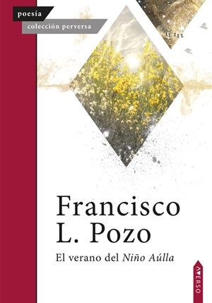 VERANO DEL NIÑO AÚLLA, EL | 9788410027190 | L POZO, FRANCISCO
