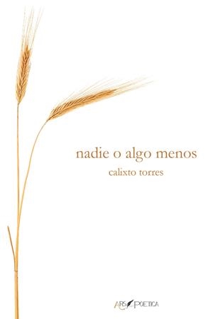 NADIE O ALGO MENOS | 9788418536663 | TORRES, CALIXTO