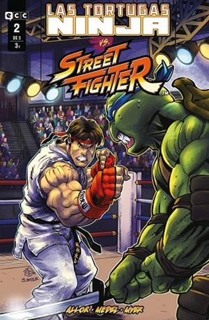 TORTUGAS NINJA VS. STREET FIGHTER 02, LAS | 9788419920997 | ALLOR, PAUL