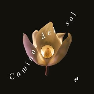 CAMINO DEL SOL | 9788410065048 | GARCIA FUERTES, ALEJANDRA