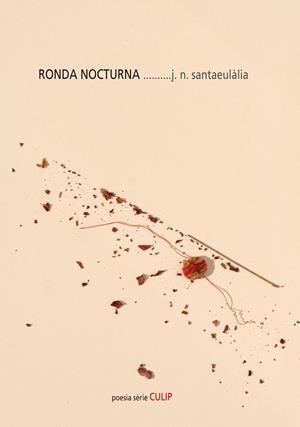RONDA NOCTURNA | 9788481280609 | SANTAEULÀLIA, J. N.