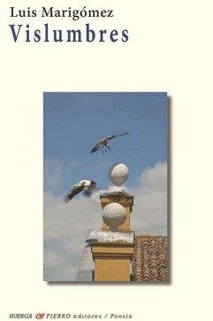 VISLUMBRES | 9788412738971 | MARIGOMEZ, LUIS