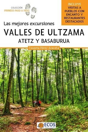 MEJORES EXCURSIONES A VALLES DE ULTZAMA, ATETZ Y BASABURUA, LAS | 9788419713186 | PEREZ AZACETAM, TXUSMA