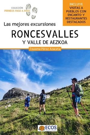 MEJORES EXCURSIONES A RONCESVALLES Y VALLE DE AEZKOA, LAS | 9788419713148 | PEREZ AZACETA, TXUSMA