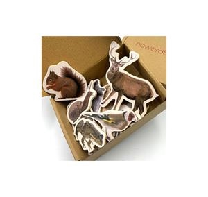 MAGNETICOS BOSQUE | 0723707922566