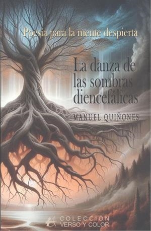 DANZA DE LAS SOMBRAS DIENCEFALICAS, LA | 9788410253384 | QUIÑONES, MANUEL
