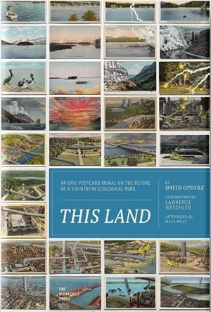 THIS LAND | 9781580935562 | OPDYKE, DAVID / WESCHLER, LAWRENCE