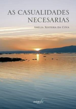 AS CASUALIDADES NECESARIAS | 9788419042217 | XESTEIRA DA, AMELIA