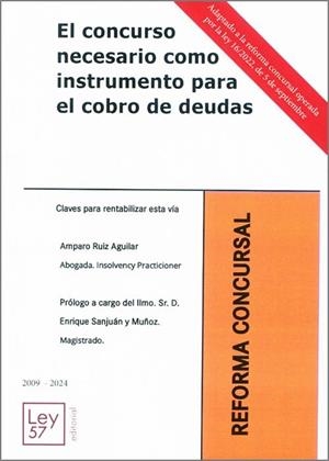 CONCURSO NECESARIO COMO INSTRUMENTO PARA COBRO DEUDAS, EL | 9788412491371 | RUIZ AGUILAR, AMPARO