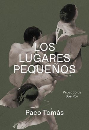 LUGARES PEQUEÑOS, LOS | 9788419728487 | TOMAS, PACO