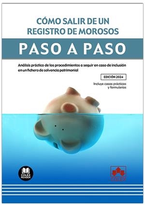 COMO SALIR DE UN REGISTRO DE MOROSOS PASO A PASO | 9788411944717 | IBERLEY, DEPARTAMENTO DE DOCUMENTACIÓN