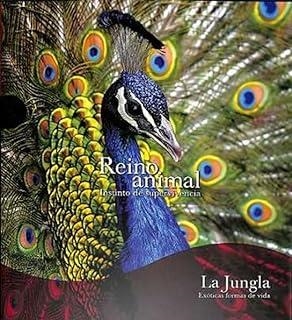REINO ANIMAL. LA JUNGLA | 9788419909060
